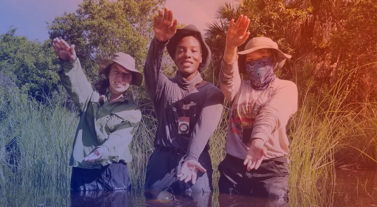 Courses CUR eLearning